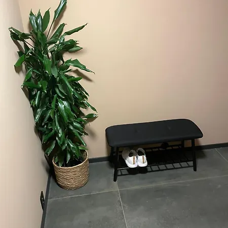 Cosy * טרומסה